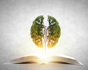 什么是变色龙？